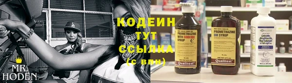 ешки Алзамай