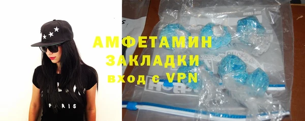 прущие грибы Абаза