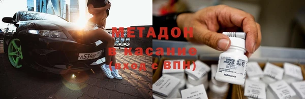 прущие грибы Абаза