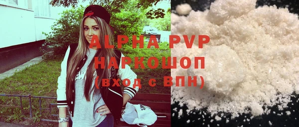 прущие грибы Абаза