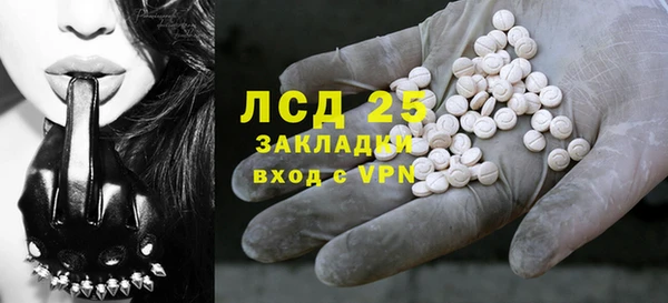 прущие грибы Абаза